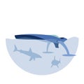 Modern marine speed jet boat with hydrofoils, underwater shark silhouettes